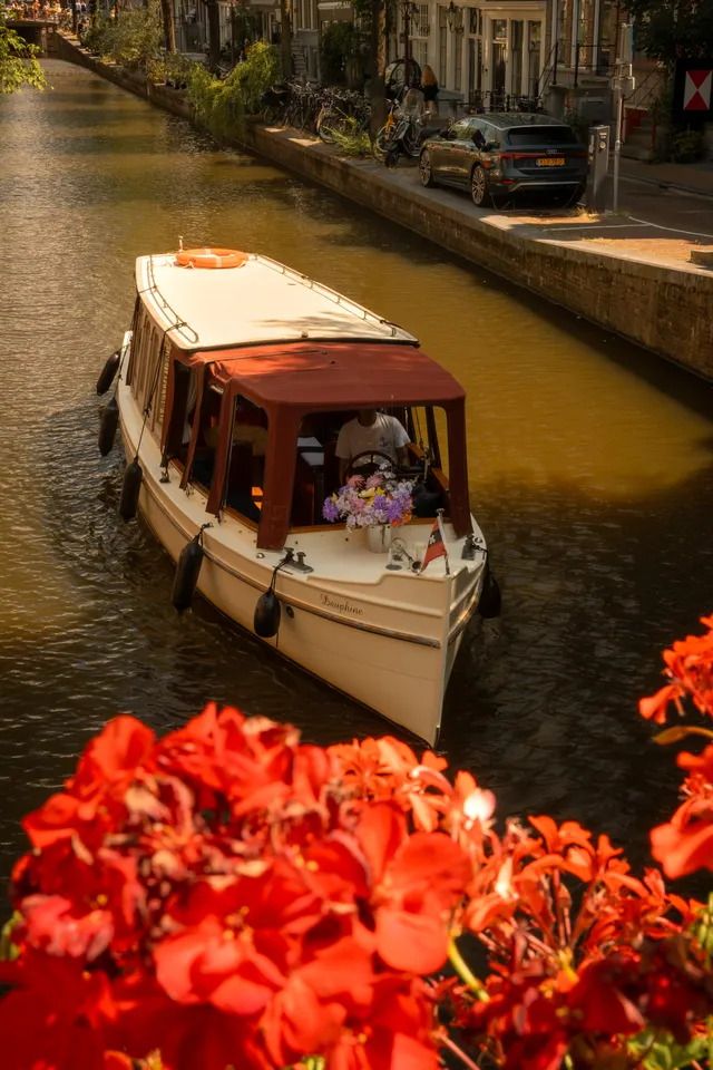 Luxury Small Group Amsterdam Light Festival Cruise